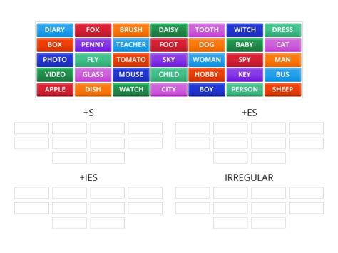 Inglese Plurale Dei Sostantivi Esercizio Group Sort