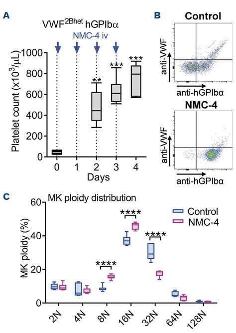 The Impact Of Aberrant Von Willebrand Factor Gpibα Interaction On Megakaryopoiesis And Platelets