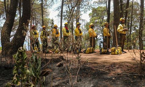 Mantiene Seduma Acciones Preventivas De Incendios Forestales En Uruapan