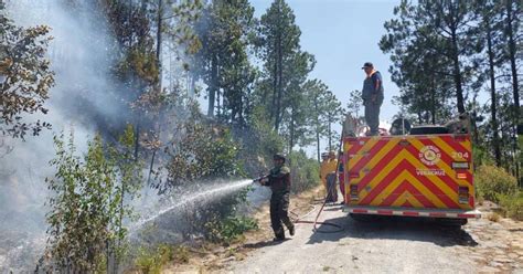 Gobierno Veracruz Prohíbe Quemas Agropecuarias Por Incendios Forestales