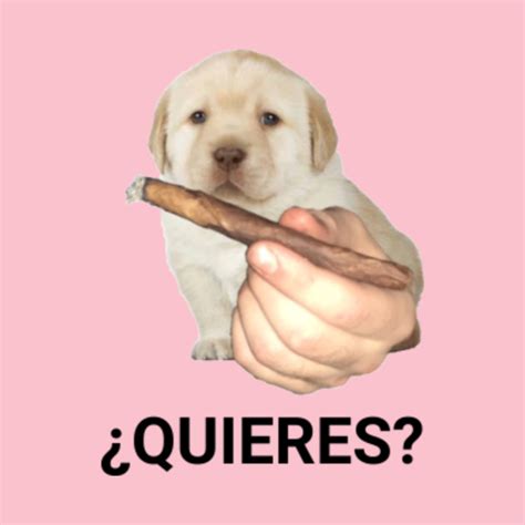 Quieres Meme Template