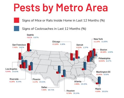 Boston Ranks No 2 On A List Of The Most Rat Infested Us Cities