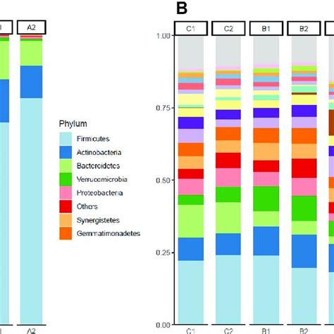 Microbial Composition Ranked By Relative Abundance Observed Phyla For