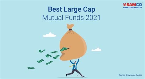 Best Large Cap Growth Mutual Funds Berri Celeste