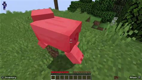 Minecraft Speed Run Youtube