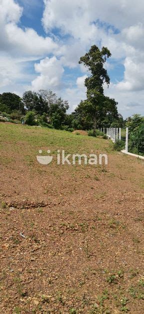 Residential Land Plots Sale In Homagama Ikman