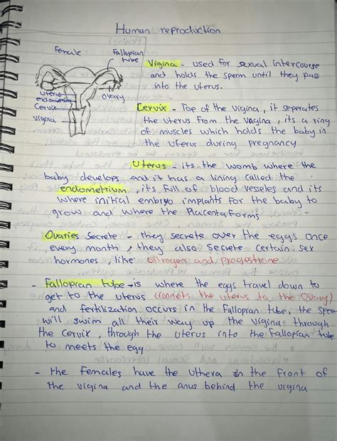 Solution Human Reproductive System Igcse Edexcel Studypool