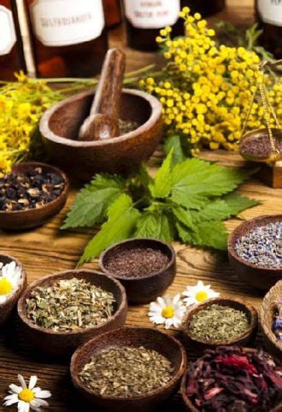 Herbal Extract Buy Herbal Extract For Best Price At Inr 5000 Litre