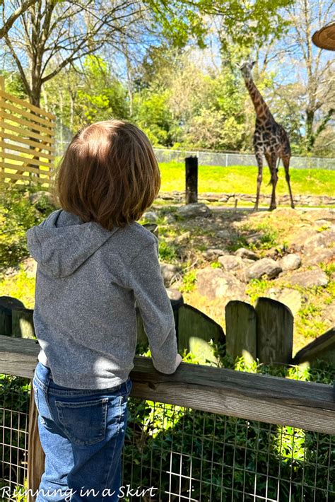 Greenville SC Zoo Visitor's Guide « Running in a Skirt