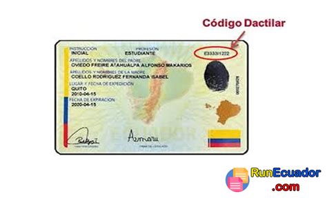 Cuál es el Código Dactilar de la Cédula Ecuador 2024 elyex