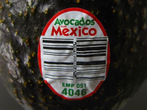 El Aguacate Mexicano Le Ganó A Costa Rica El País Tico Ya No Podrá