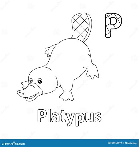 Platypus Alphabet Abc Coloring Page P Stock Vector Illustration Of