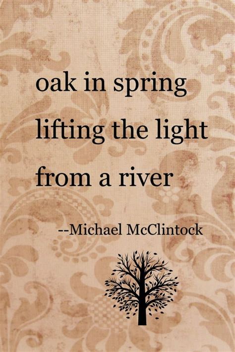 Haiku Poem Oak In Spring By Michael Mcclintock Haiku Poems