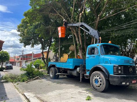 Prefeitura De Po Realiza Poda Preventiva Em Diversas Vias Do Munic Pio