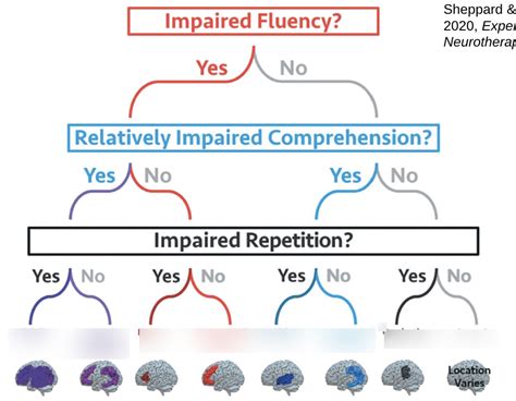 The Boston Diagnostic Aphasia Classification System Diagram Quizlet