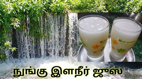 நுங்கு இளநீர் ஜுஸ் செய்வது எப்படி Nungu Elaneer Juice Tender Coconut And Palm Fruit Juice