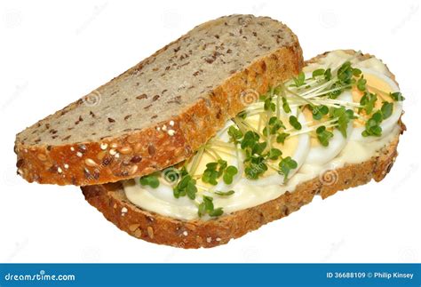 Egg And Cress Sandwich Royalty-Free Stock Photography | CartoonDealer ...