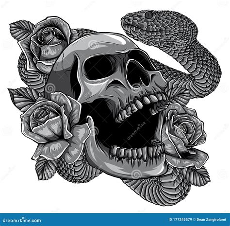 Skull And Snake And Roses Drawings