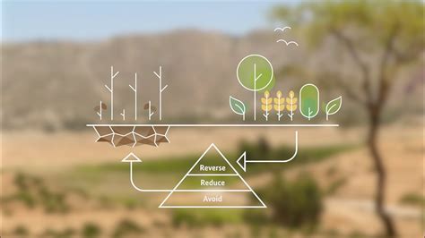 The Diagram Shows The Process Of Desertification Desertifica