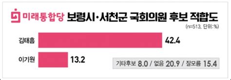 총선 2차 여론조사 보령·서천 나소열 474 Vs 김태흠 417 굿모닝충청