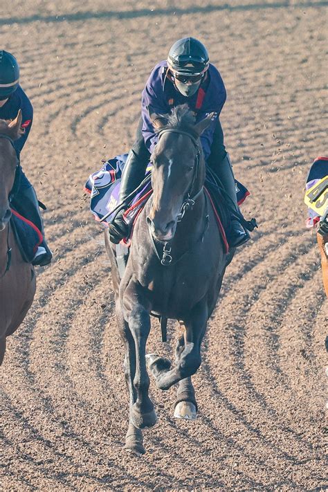 【新谷の日曜競馬コラム・日本ダービー】 日刊ゲンダイ競馬