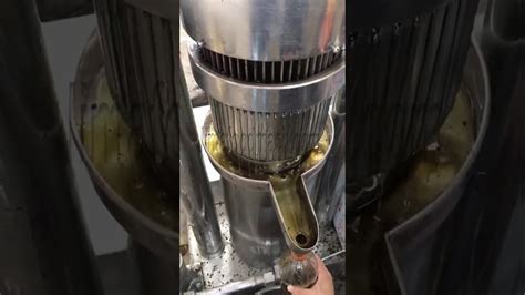 Hemp Seed Oil Press Seed Oil Extraction Machine Youtube