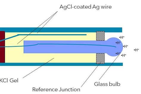 Anatomy Of A Ph Electrode Glass Ph Probes Part 2 Of 4