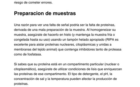 Protocolo DotBlot Abyntek Biopharma