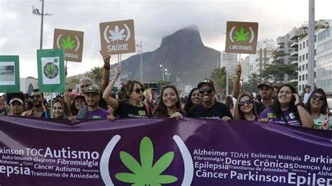 Portar Maconha Para Uso Pessoal Não é Crime Tire Suas Dúvidas Sobre A Decisão Do Stf