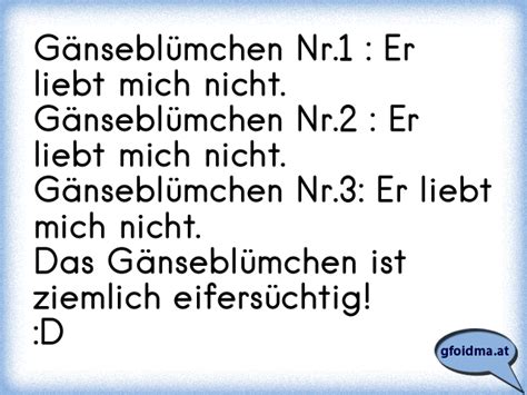 Gänseblümchen Nr 1 Er liebt mich nicht Gänseblümchen Nr 2 Er liebt