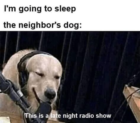 late night radio show : r/wholesomememes