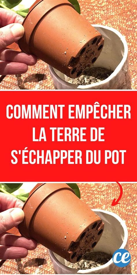 Arrosage des Pots de Fleurs Comment Empêcher la Terre de S échapper