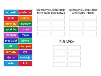 Rodzaje Rzeczownik W W Liczbie Mnogiej Materia Y Dydaktyczne