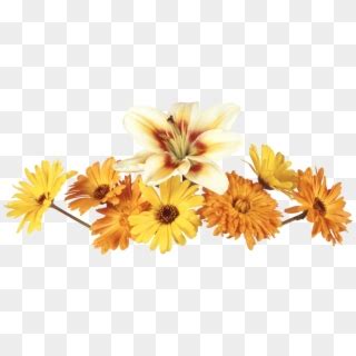 Im Genes De Flores Grandes En Png Flower Dividers Transparent Png