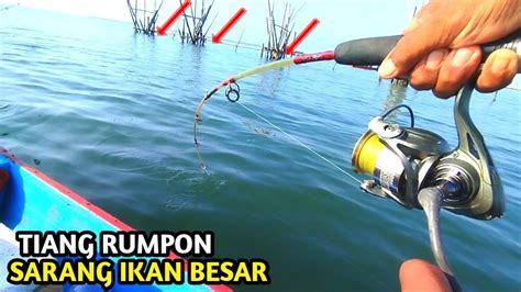 Benar Dugaanku Ternyata Tiang Rumpon Ini Dihuni Ikan Ikan Besar