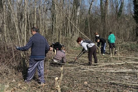 Voluntariat Ambiental XCN