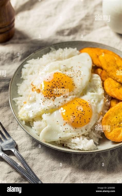 Arroz con huevos hi-res stock photography and images - Alamy