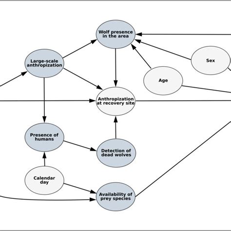 Directed Acyclic Graph Dag Showing The Causal Relationships Of