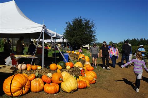 Fall Festival Sonoma County Farm Trails