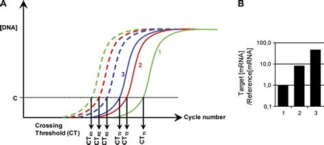 Normalization In QRT PCR A In QRT PCR The Fluorescence Intensity Is