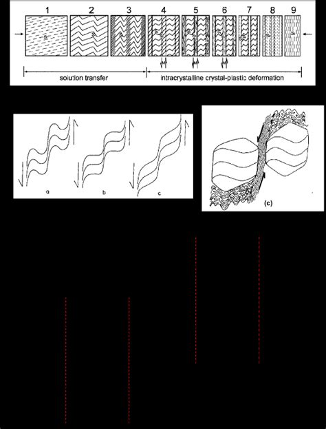 8: (a) 9-stage model of crenulation cleavage formation with progressive ...