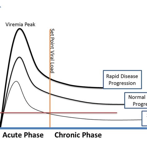 Set Point Viral Load And Hiv 1 Disease Progression The Higher Viremia Download Scientific