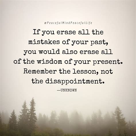 If You Could Erase All The Mistakes Of Your Past You Would Also Erase