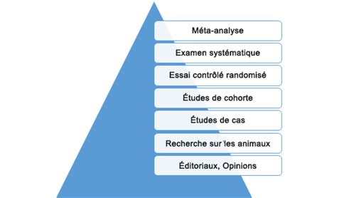 Chapitre 5 Évaluation Des Sources Analyse Documentaire Pour Les