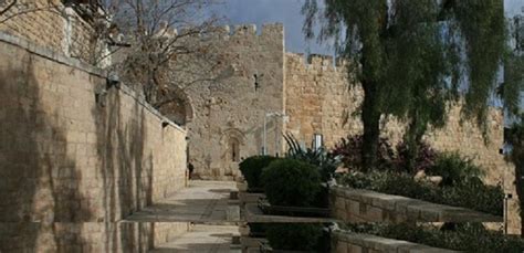 Crusader Kingdoms