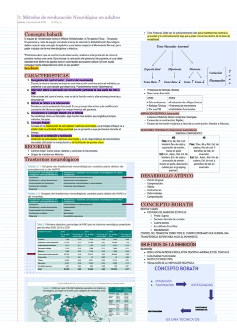 SOLUTION M Todos De Reeducaci N Neurol Gica En Adultos Studypool