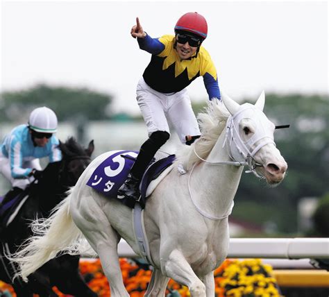 ソダシ劇的復活でg1・3勝目 鞍上の吉田隼人「残り1fは夢のような感じ」【ヴィクトリアマイル】：中日スポーツ・東京中日スポーツ