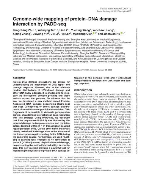 Pdf Genome Wide Mapping Of Protein Dna Damage Interaction By Padd Seq