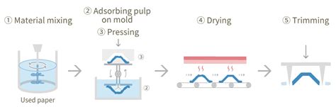 Explanation Types And Features Of Molded Pulp Technologies For