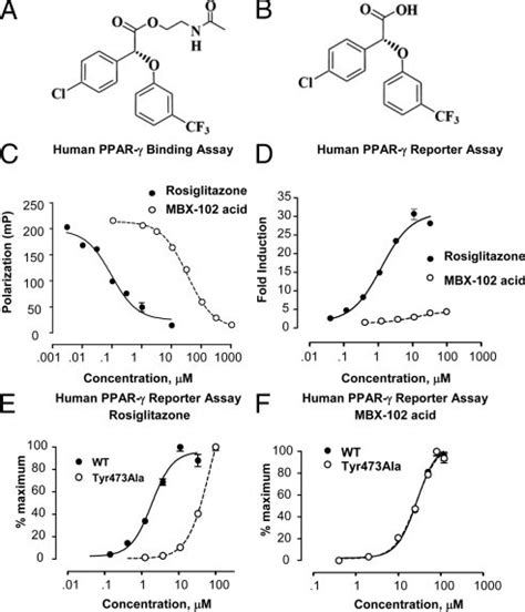 Chemical Structures Of Mbx Prodrug Ester Panel A And Mature Free